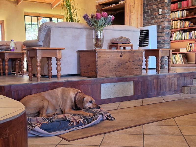 4 Bedroom Property for Sale in Piketberg Rural Western Cape